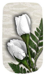 DAROYAL-060 2 Roses White